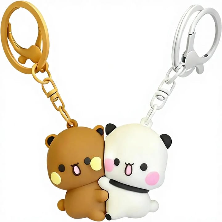 Magnetic Key Chain